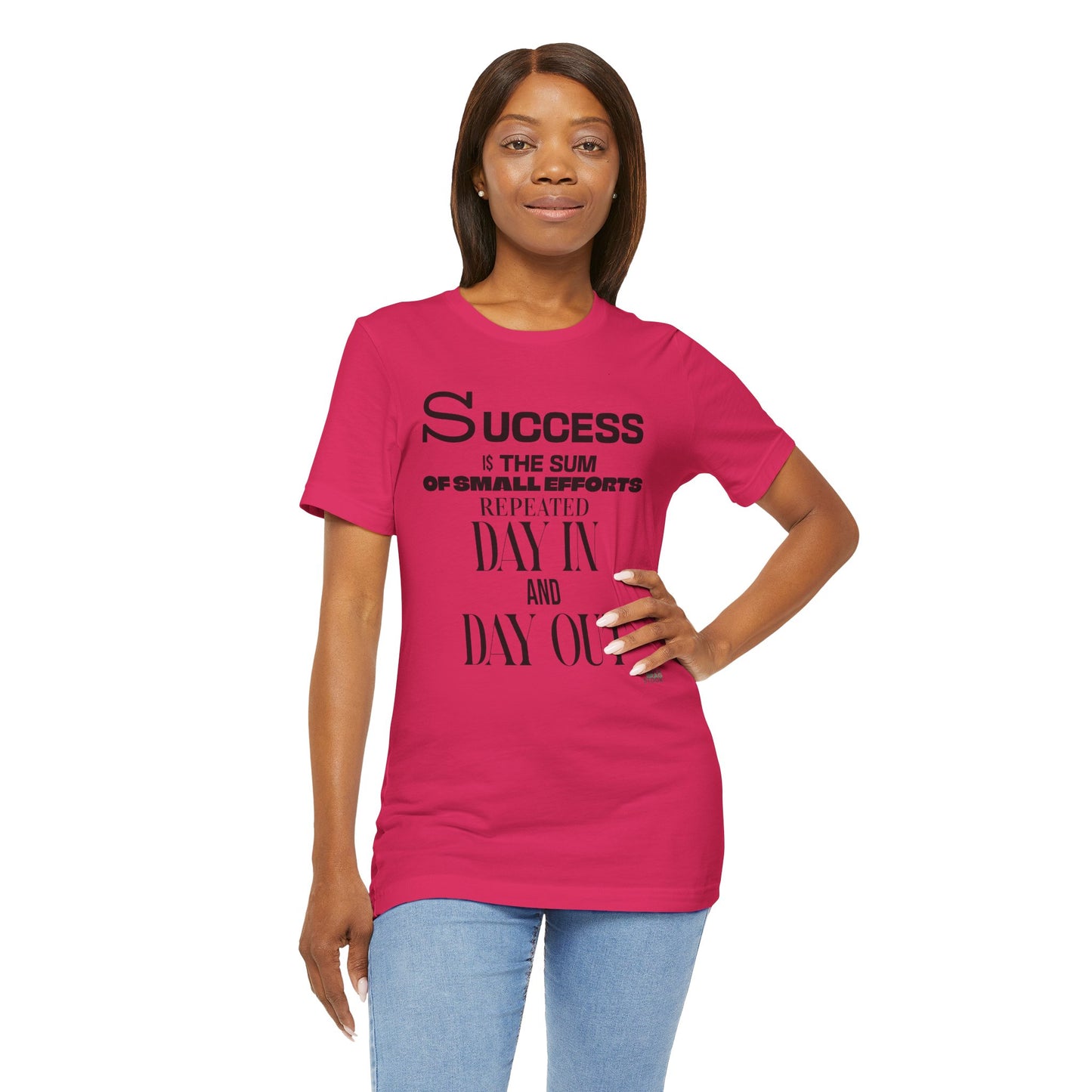 Success is the Sum of Small Efforts T-Shirt