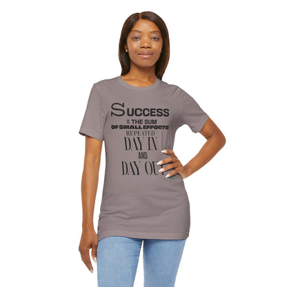 Success is the Sum of Small Efforts T-Shirt