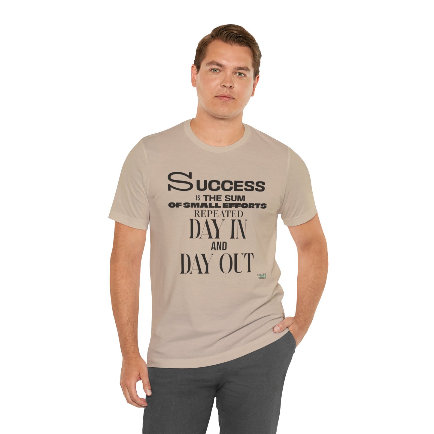 Success is the Sum of Small Efforts T-Shirt