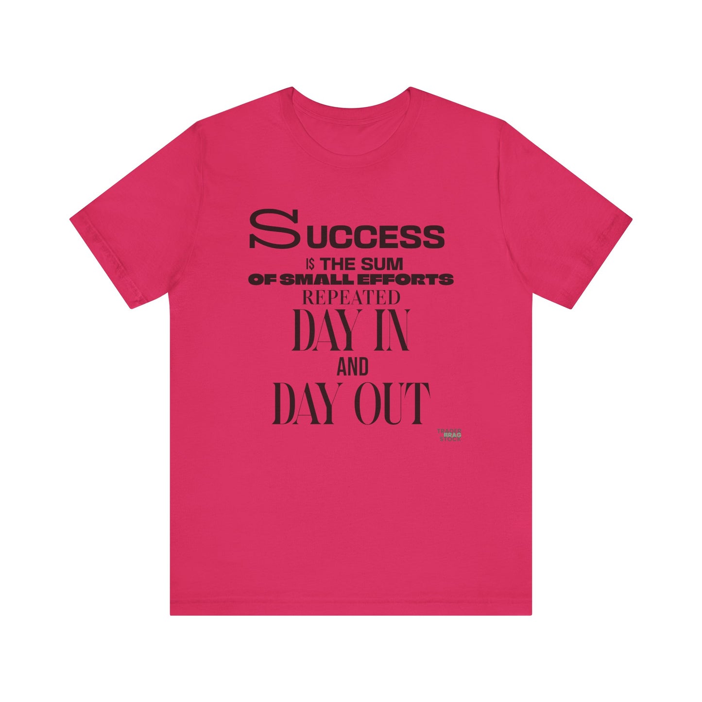 Success is the Sum of Small Efforts T-Shirt