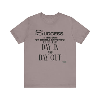 Success is the Sum of Small Efforts T-Shirt